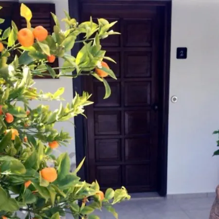 Karina 公寓 克里奥斯