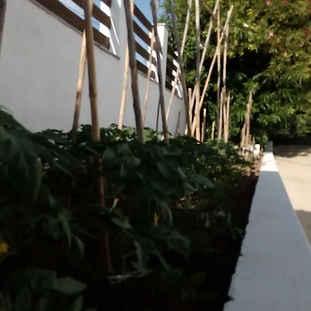 Karina * 克里奥斯