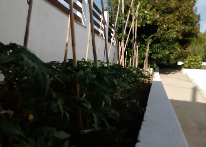 Karina * コリオス